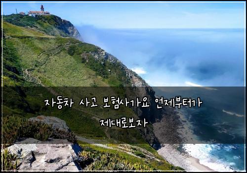 자동차 사고 보험사가요 언제부터가 제대로보자