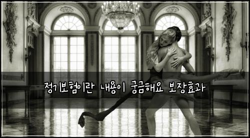 정기보험이란 내용이 궁금해요 보장효과