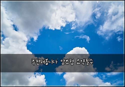 ์ถ์ฒํด๋ด
๋๋ค ์๋ณดํ ์์ฝํ์