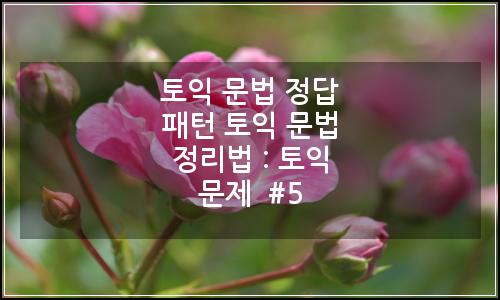 오늘의 이미지