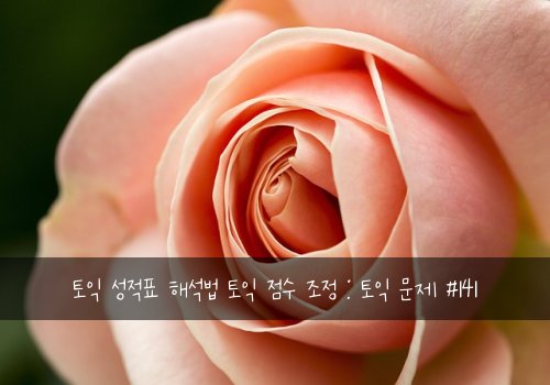 토익 성적표 해석법 토익 점수 조정 : 토익 문제 #141