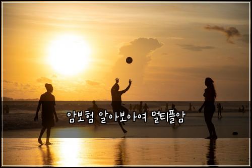 암보험 알아보아여  멀티플암