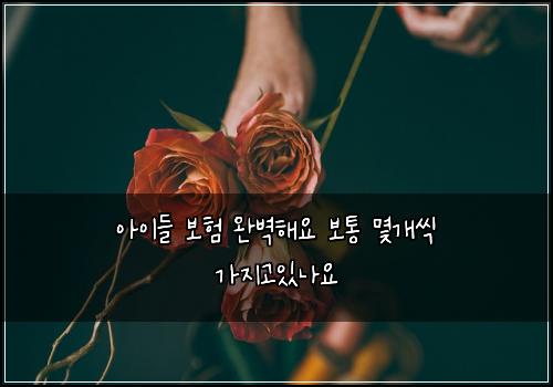 μμ΄λ€ 보ν μλ²½ν΄μ λ³΄ν΅ λͺκ°μ© κ°μ§κ³ μλμ