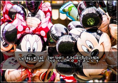 대형차보험료 핵심적인 요점 탁월한선택