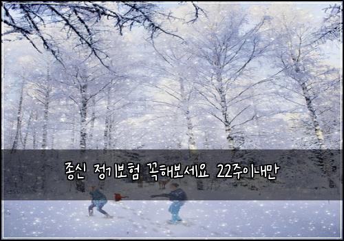 종신 정기보험 꼭해보세요  22주이내만