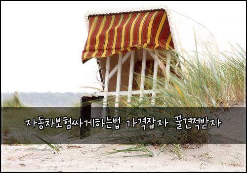 ์๋์ฐจ๋ณดํ์ธ๊ฒํ๋๋ฒ ๊ฐ๊ฒฉ์ก์ ๊ฟ๊ฒฌ์ ๋ฐ์
