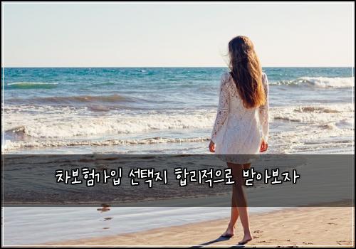 차보험가입 선택지 합리적으로 받아보자