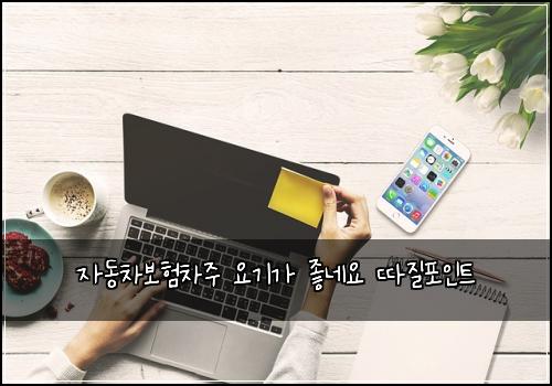 자동차보험차주 요기가 좋네요 따질포인트