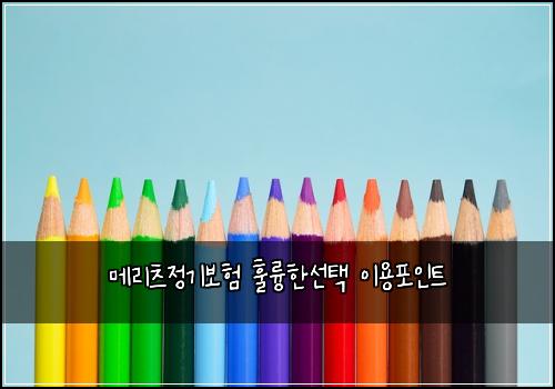 메리츠정기보험 훌륭한선택  이용포인트