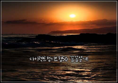 다이렉트정기보험50 꼼꼼설계