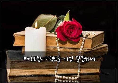 태아보험다이렉트을 가입 깔끔하네