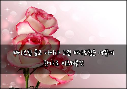 태아보험 들고 아이가 그럼 태아보험은 어떻게 한가요 비교해볼것
