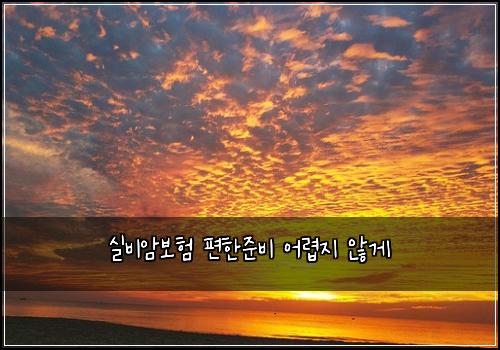 실비암보험 편한준비  어렵지 않게