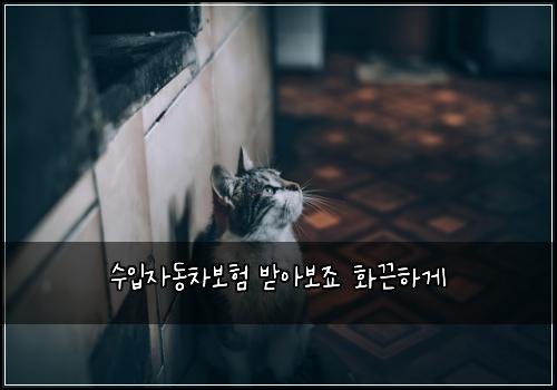 μμ
μλ차보ν λ°μλ³΄μ£ νλνκ²