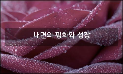 오늘의 이미지