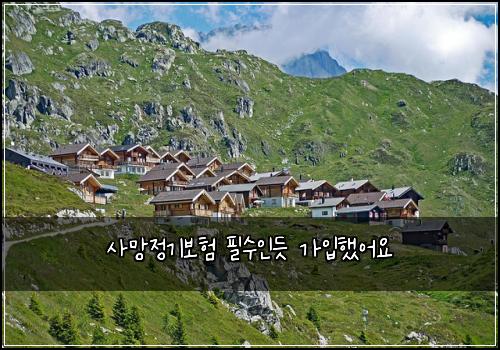 사망정기보험 필수인듯  가입했어요