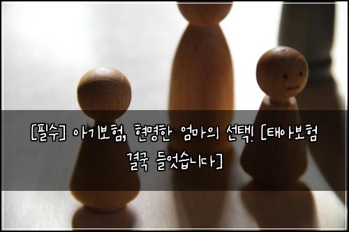  [필수] 아기보험, 현명한 엄마의 선택! [태아보험 결국 들엇습니다]