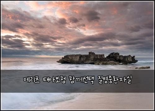 메리츠 태아보험 함께선택  질병중환자실
