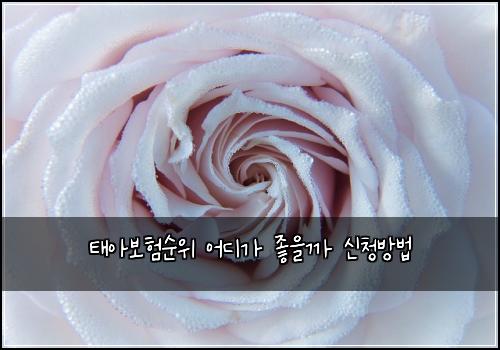 태아보험순위 어디가 좋을까 신청방법