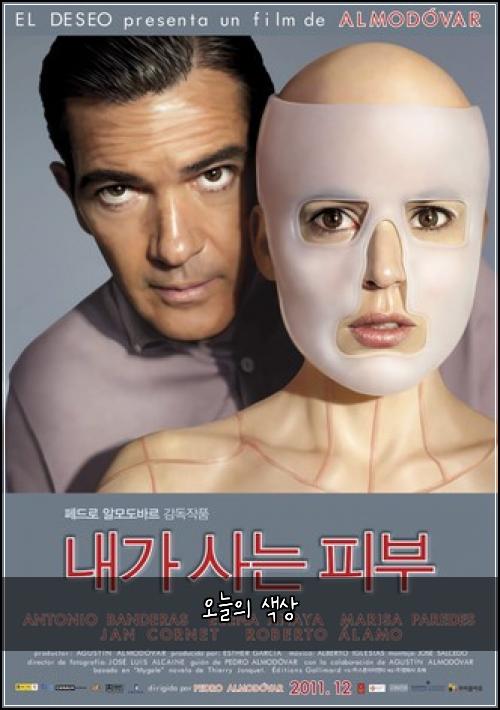 오늘의 색상