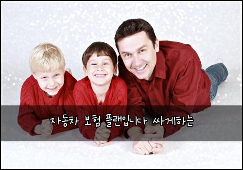 자동차 보험 플랜입니다  싸게하는