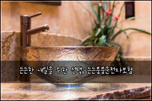  든든한 내일을 위한 선택, 든든붕붕운전자보험