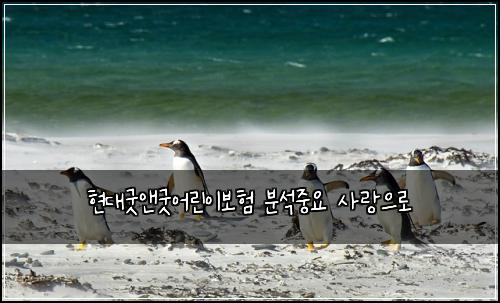 현대굿앤굿어린이보험 분석중요  사랑으로