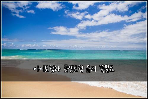 아이보험과 동생보험 문의 꼭필요
