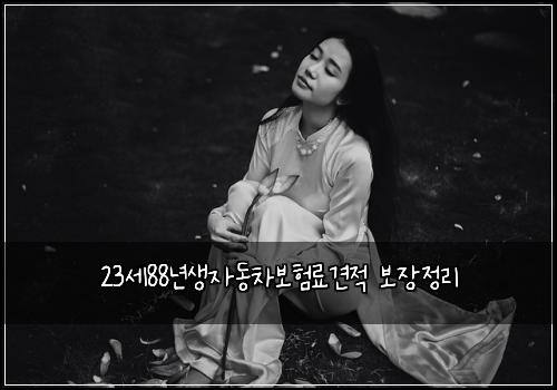 23세88년생자동차보험료견적 보장정리