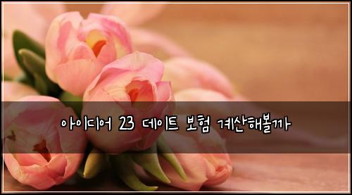아이디어 23 데이트 보험 계산해볼까 