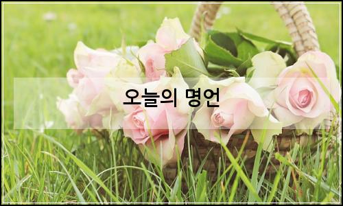 오늘의 이미지