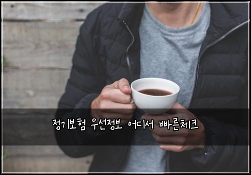 ์ ๊ธฐ๋ณดํ ์ฐ์ ์ ๋ณด ์ด๋์ ๋น ๋ฅธ์ฒดํฌ