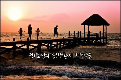 정기보험의 종신전환시 견적받음
