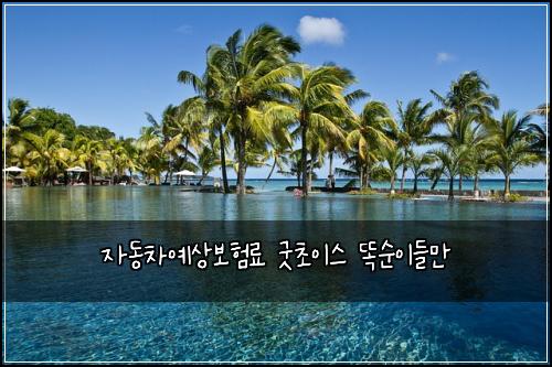 자동차예상보험료 굿초이스 똑순이들만
