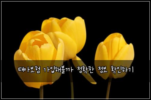 태아보험 가입해볼까  정확한 정보 확인하기