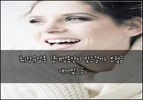 췌장유암종 경계성종양이 맞는걸까 보험금 내게맞는곳