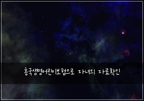 흥국생명어린이보험으로 자녀의 자료확인