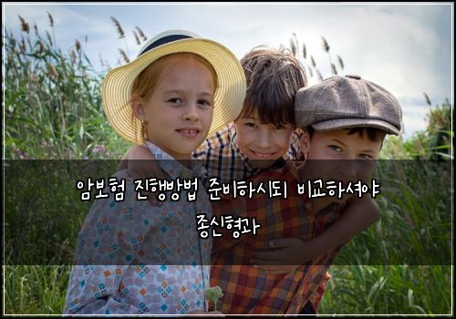 암보험 진행방법  준비하시되 비교하셔야 종신형과