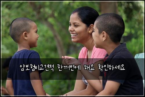 암보험비교견적 한꺼번에 해요 확인하세요