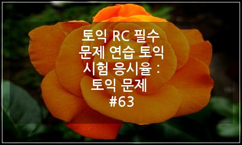 오늘의 이미지