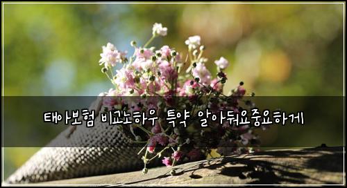 태아보험 비교노하우  특약 알아둬요중요하게