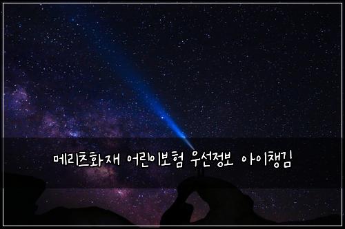 메리츠화재 어린이보험 우선정보  아이챙김