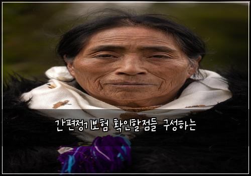 간편정기보험 확인할점들  구성하는