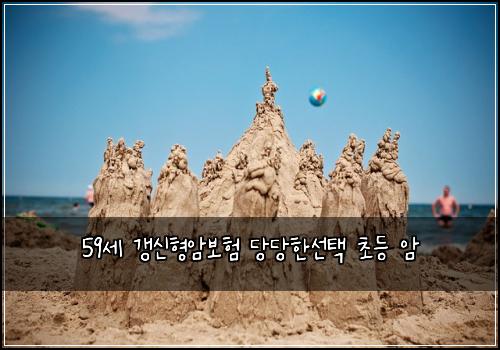 59세 갱신형암보험 당당한선택  초등 암