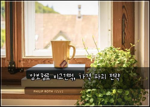 암보험료 비교견적, 가격 파괴 전략