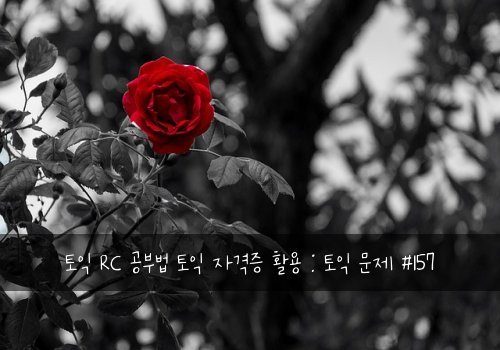토익 RC 공부법 토익 자격증 활용 : 토익 문제 #157