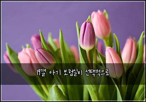 19๊ฐค ์๊ธฐ ๋ณดํ์ค๋น ์ ํ์ ์ผ๋ก