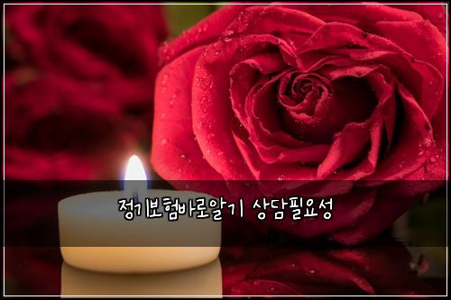 정기보험바로알기 상담필요성