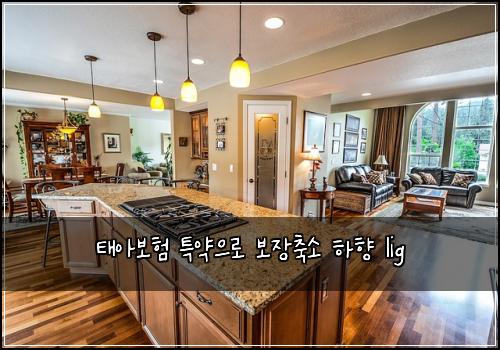 태아보험 특약으로  보장축소 하향 lig