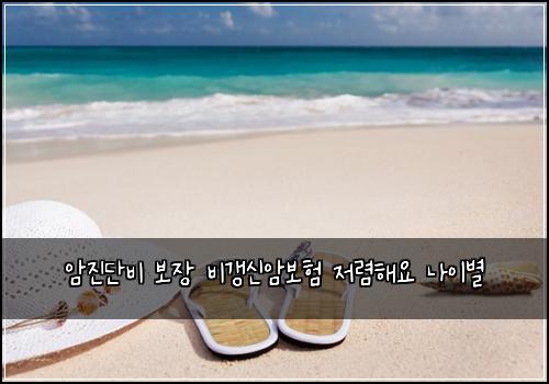 암진단비 보장 비갱신암보험 저렴해요  나이별 